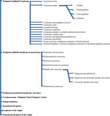 Triple-Negative Breast Cancer Comparison With Canine Mammary Tumors From Light Microscopy to Molecular Pathology